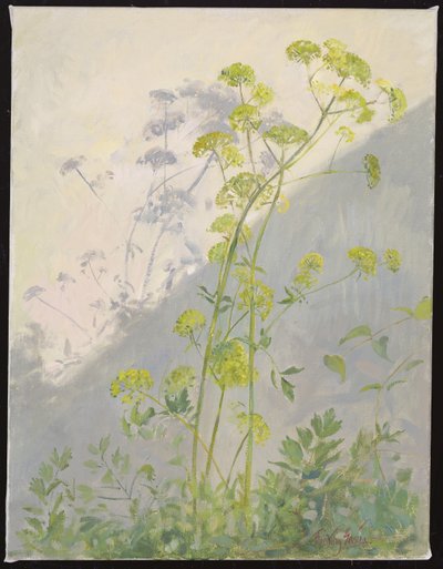 Lovage Against Diagonal Shadows, 1999 by Timothy Easton